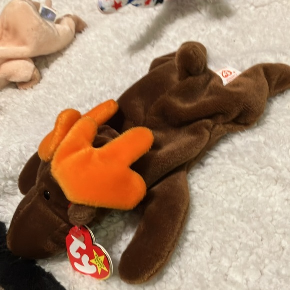 "Chocolate" Beanie Baby in new condition - Picture 3 of 6